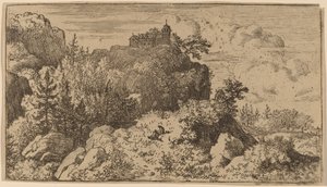 Sapin dans le défilé - Allart van Everdingen