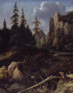 Paysage montagneux norvégien - Allart van Everdingen