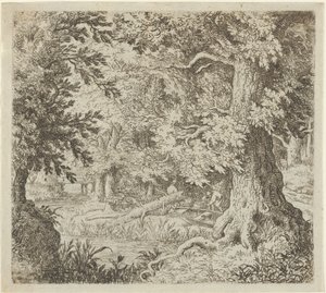 Le Ruisseau dans le bois, 17e siècle - Allart van Everdingen