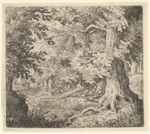 Le ruisseau dans le bois - Allart van Everdingen