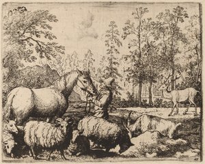 Le Cheval et le Cerf, probablement vers 1645-1656 - Allart van Everdingen
