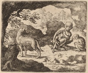 Le loup et les singes - Allart van Everdingen
