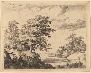 Rivière sinueuse - Allart van Everdingen