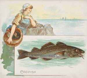 Morue, de la série Fish from American Waters N39 pour Allen & Ginter Cigarettes, 1889