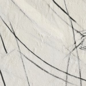 Lignes noires abstraites - Alma