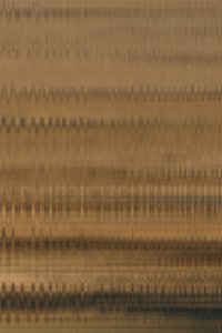 Résumé : Ondes horizontales - Alma