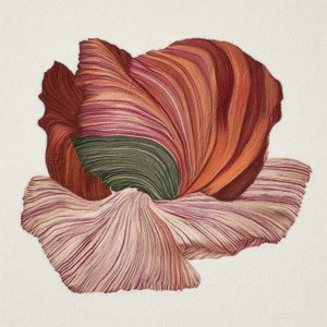 Fleur bio haute en couleur