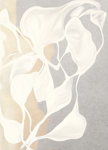 Formes organiques fluides - Alma