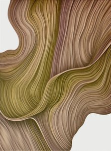 Lignes fluides et organiques - Alma