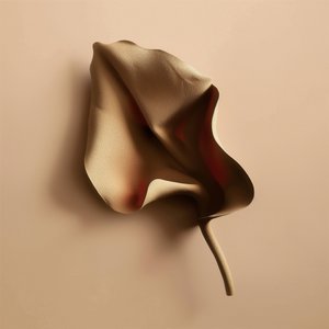 Forme organique douce