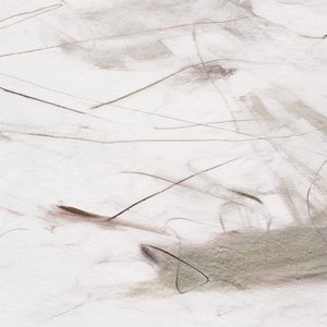 Des lignes fluides et subtiles - Alma