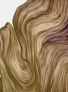 Des courbes fluides et subtiles - Alma