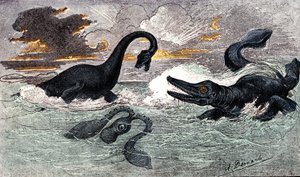 Période Lias (Jurassique Inférieur) : Plésiosaure et Ichtyosaure, création naturelle et êtres vivants (par Jules Rengade) Dessin par A. Demarle. 1885
