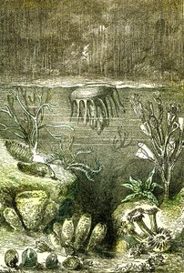 Préhistoire-Terre et Mers : Le début de la période Silurienne (J. Rengade. Dessin par Demarle. 1885