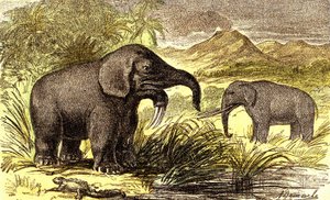 Préhistoire-Période Miocène : De droite à gauche : le Dinotherium et le Mastodonte. Création Naturelle et êtres vivants. Dessin par A. Demarle. 1885