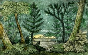 Préhistoire, période du charbon : Marécage et forêt de la période du charbon (J. Rrengade) - Alphonse Demarle