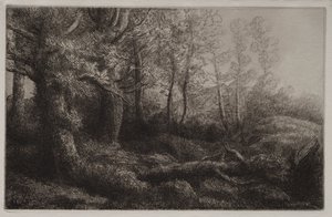 Étude de forêt - Alphonse Legros