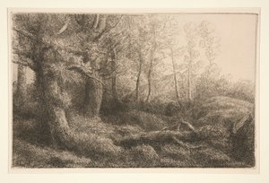 Étude de forêt - Alphonse Legros
