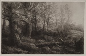 Étude forestière - Alphonse Legros