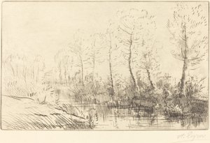 Les bouleaux: Bord de l