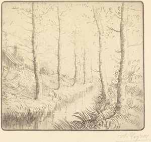 Bouleaux au bord de l