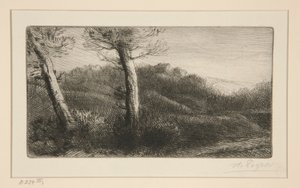 Coucher du soleil