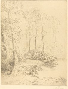 Au bord de l