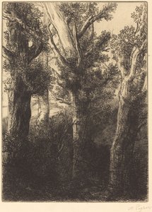 Forêt allemande, Downley - Alphonse Legros