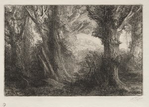 Dans la forêt à Conteville