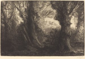 Dans la forêt de Conteville - Alphonse Legros
