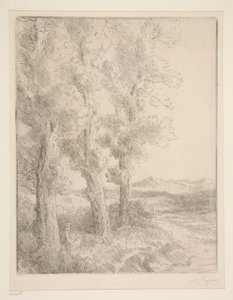 La liseuse : La lecture sous les arbres - Alphonse Legros