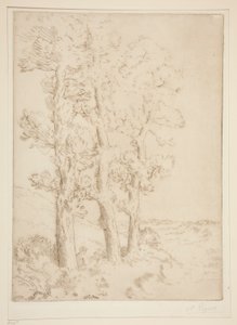 La liseuse : La lecture sous les arbres