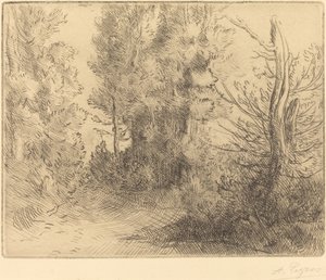 Paysage : Près de Chailleux