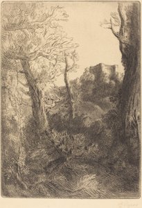 Paysage