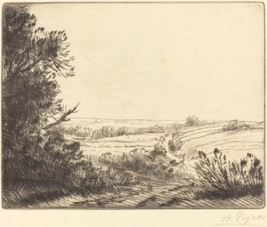 Paysage: Chemin d