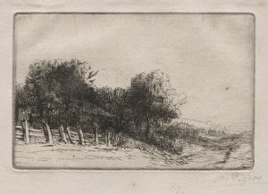 Paysage