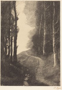 Paysage aux bouleaux