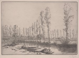 Les Tourbières : Près d