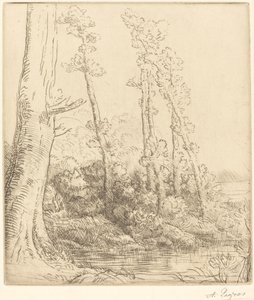 Petit étang (La petite mare) - Alphonse Legros