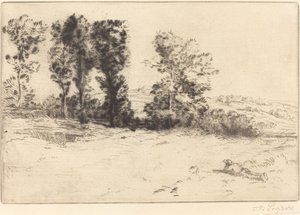 Le pré ensoleillé