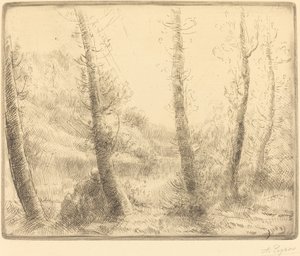 Le petit lac