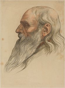 Étude de la tête d