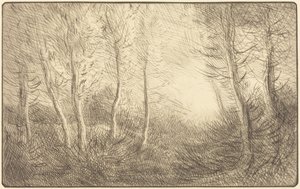 Lever du soleil, bois de Clamard