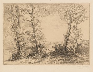 Le pêcheur de saumon, vers 1880