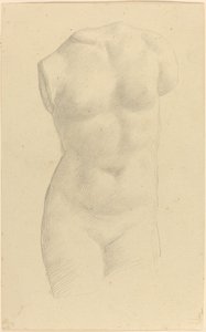 Torso