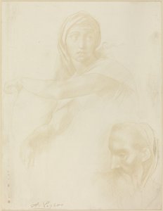 Étude de la Sibylle de Delphes; Tête d