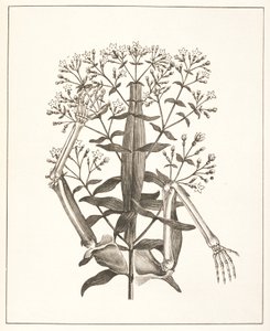 Illustration de 