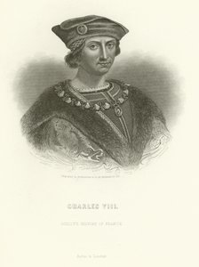 Charles VIII - Alphonse Marie de Neuville