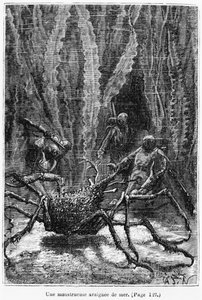Le crabe araignée, illustration de 