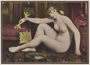 Nourrir les oiseaux